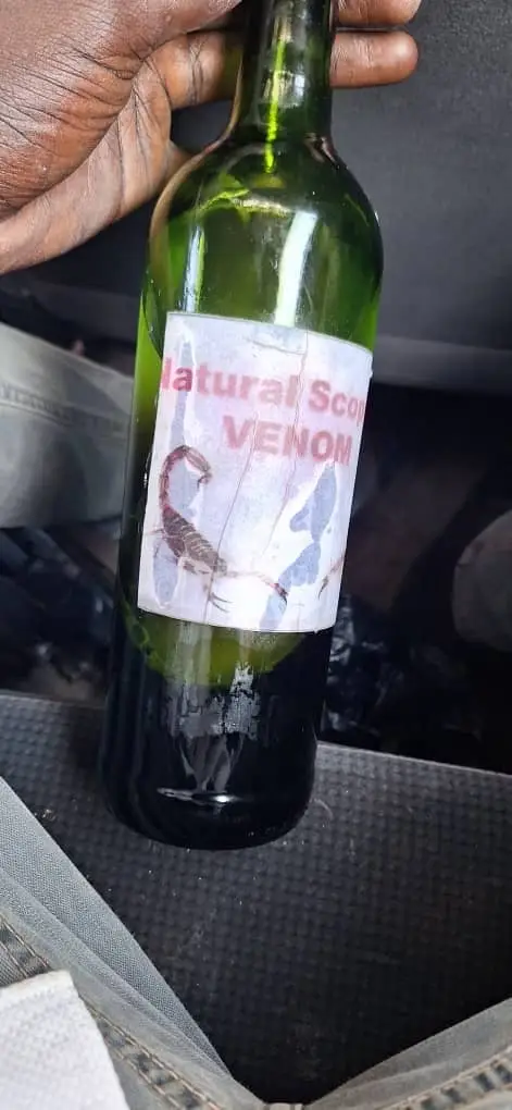 Scorpion venom